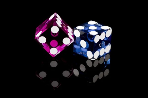 bingotogel draw results showing winning numbers and payout confirmation